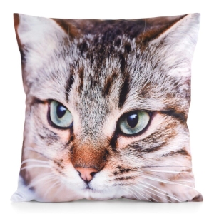 Poszewka Animals 45x45 Kot 