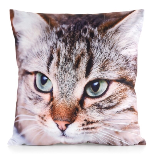 Poszewka Animals 45x45 Kot 